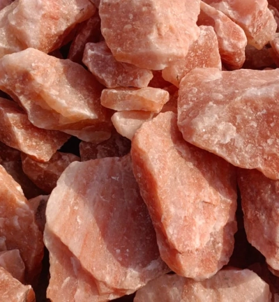 WhatsAppImage2023-03-09at08.42.26